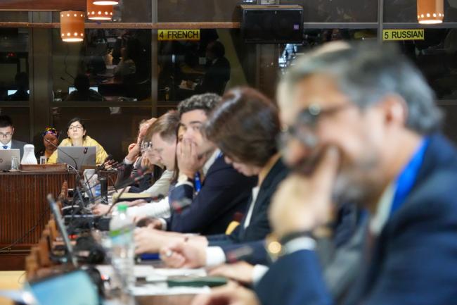 Delegates at the focus group meeting