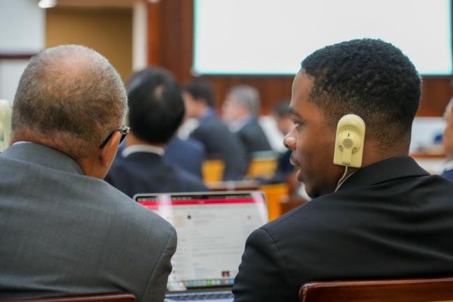 Delegates discussing on the plenary