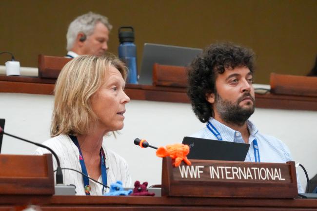 ISA30-2_24JULY_2025_AndresC9362 WWF INt
