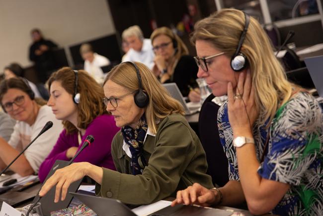 Imke Thormann, Europe, - ITPGRFA_OEWG14 - 11Jul2025