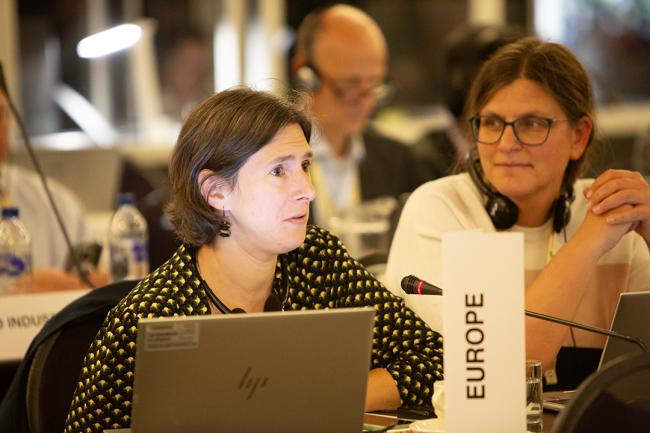 Isabelle Fragnière, Europe - ITPGRFA_OEWG14 - 8Jul2025
