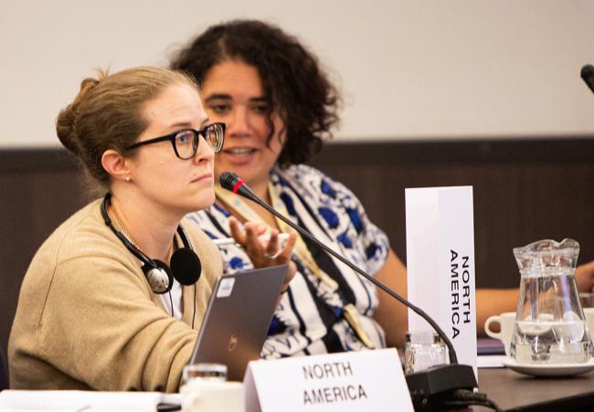 Katlyn Scholl, North America - ITPGRFA_OEWG14 - 11Jul2025