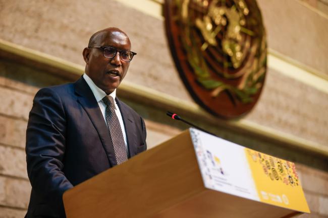 Kevin Kariuki, Vice President for Power, Energy, Climate, and Green Growth at the African Development Bank Group_AMCEN20_18Jul25_photo.jpg