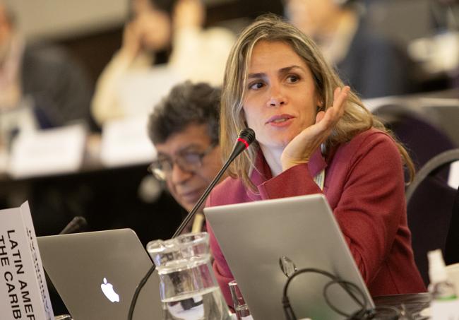 Lara Fazzolari, GRULAC - ITPGRFA_OEWG14 - 8Jul2025