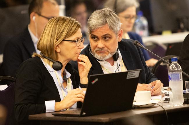 Ludovic Pâris and Jasmina Muminovic, Seed Industry- ITPGRFA_OEWG14 - 10Jul2025