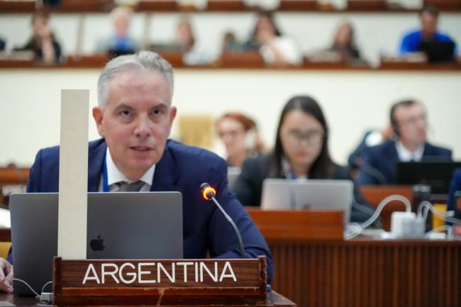 Marcelo Balbi Calvo, Argentina