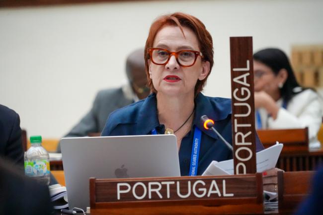 Maria Luís Mendes, Portugal