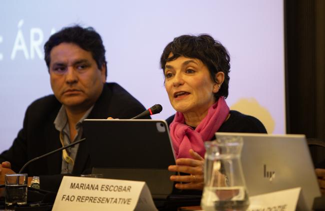 Mariana Escobar, FAO - ITPGRFA_OEWG14 - 7Jul2025