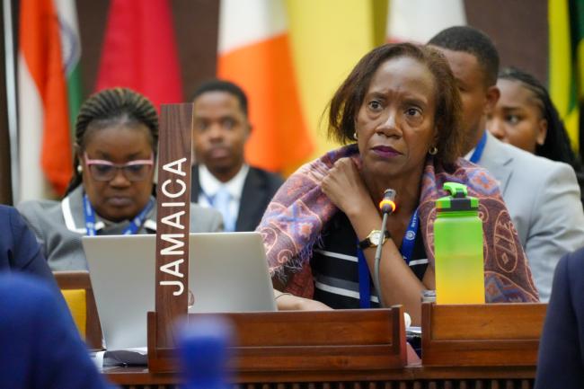 Michelle Walker, Deputy Permanent Representative to the International Seabed Authority