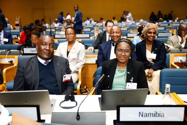 Namibia delegation_AMCEN20_17Jul25_photo.jpg