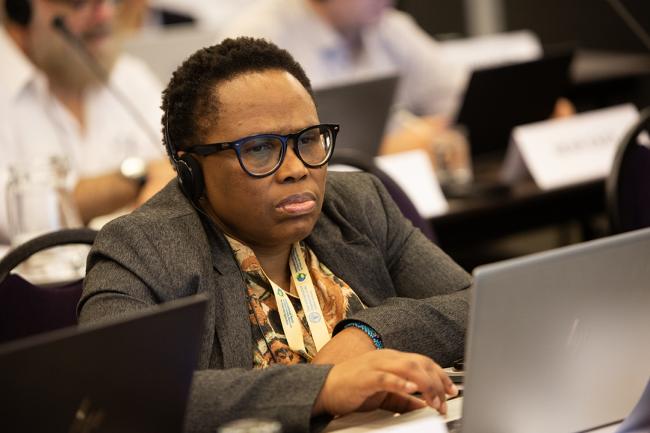 Noluthando Netnou-Nkoana, Africa - ITPGRFA_OEWG14 - 10Jul2025