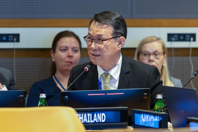 Paisan Rupanichkij, Deputy Permanent Secretary for Foreign Affairs of the Kingdom of Thailand