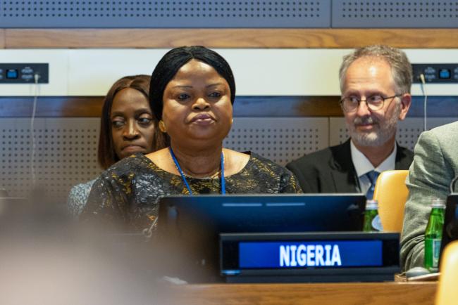 Princess Adejoke Orelope-Adefulire, Senior Special Advisor to the President on SDGs, Nigeria