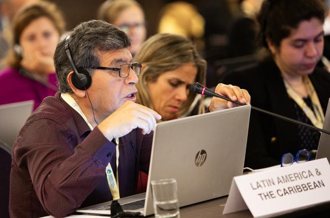 Roger Alberto Becerra Gallardo, GRULAC - ITPGRFA_OEWG14 - 8Jul2025