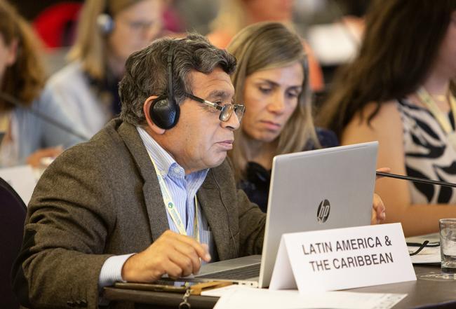 Roger Alberto Becerra Gallardo, GRULAC - ITPGRFA_OEWG14 - 7Jul2025