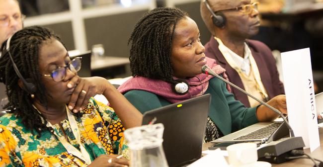 Sarah Naigaga, Africa - ITPGRFA_OEWG14 - 7Jul2025