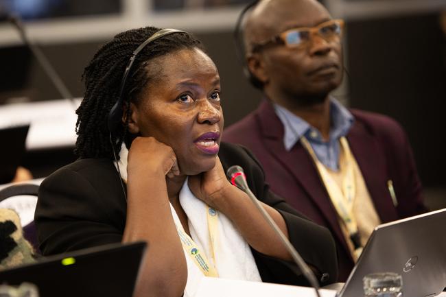 Sarah Naigaga, Africa - ITPGRFA_OEWG14 - 10Jul2025
