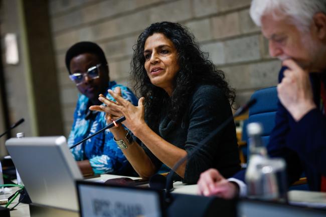 Sheila Aggarwal-Khan, Director, Industry and Economy Division, UNEP_AMCEN20_17Jul25_photo.jpg
