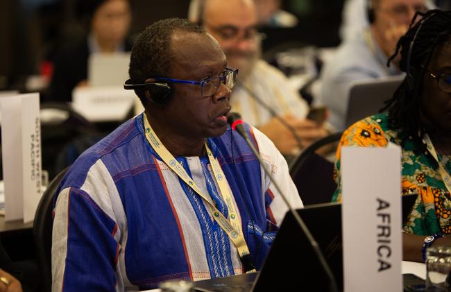 Soungalo Soulama, Africa - ITPGRFA_OEWG14 - 7Jul2025