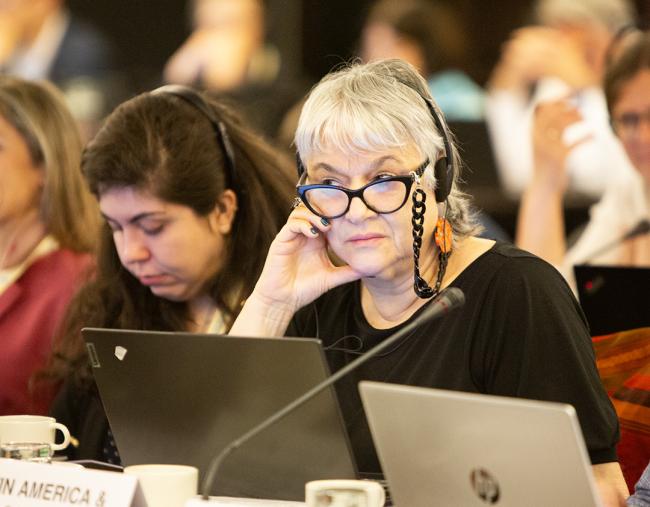 Teresa Agüero Teare, Chile- ITPGRFA_OEWG14 - 8Jul2025