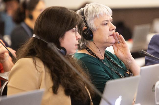 Teresa Agüero Teare, GRULAC - ITPGRFA_OEWG14 - 10Jul2025