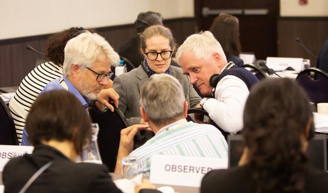 US - CGIAR - Seed Industry - ITPGRFA_OEWG14 - 7Jul2025
