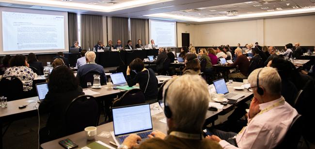 View of the room - ITPGRFA_OEWG14 - 11Jul2025