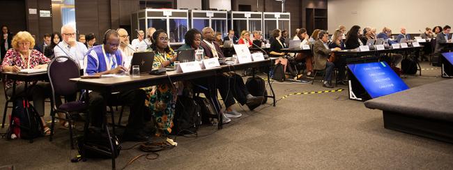 View of the room - ITPGRFA_OEWG14 - 7Jul2025