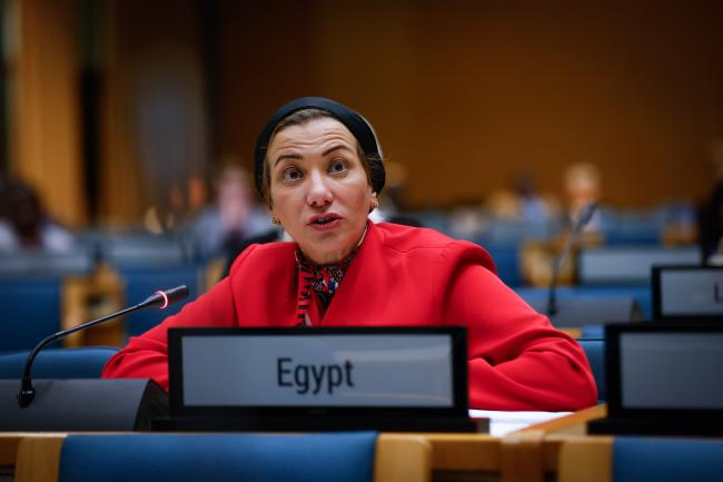 Yasmine Fouad, Egypt, and incoming Executive Secretary, UNCCD_AMCEN20_17Jul25_photo.jpg