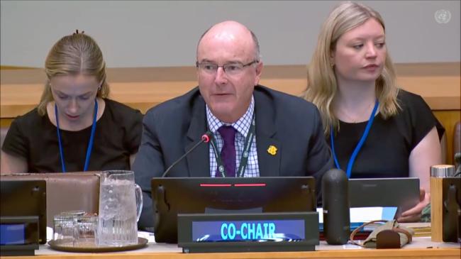 PrepCom Co-Chair Adam McCarthy, Australia