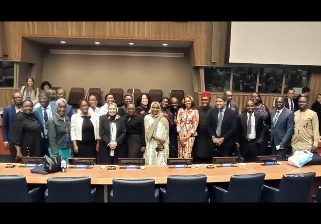 Representatives from the African Group