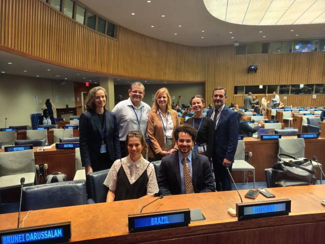 Brazilian delegation