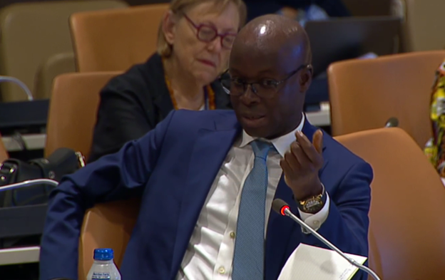 Diamane Diome, Deputy Permanent Representative of Senegal to the UN