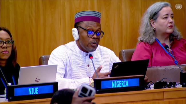 Emmanuel Nweke, Nigeria, on behalf of the African Group