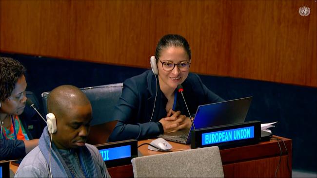 Representative from the EU