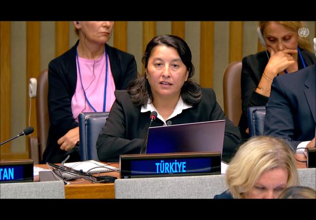 Hatice Şahin, Türkiye