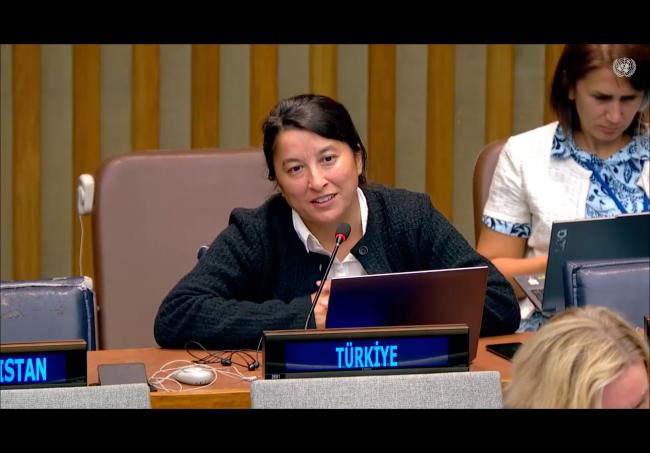 Hatice Şahin, Türkiye