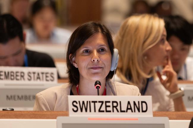 Amanda Finger, Switzerland, and co-facilitator for informal consultations on Article 8