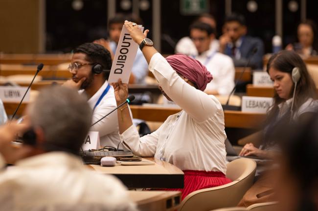 Djibouti calls a point of order on behalf of all developing countries