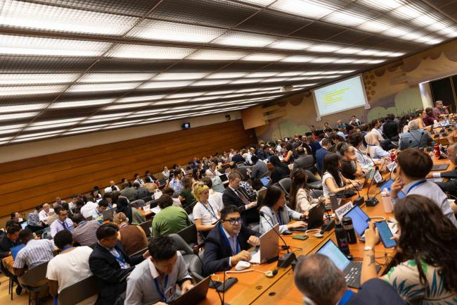 Informal consultations on Article 5