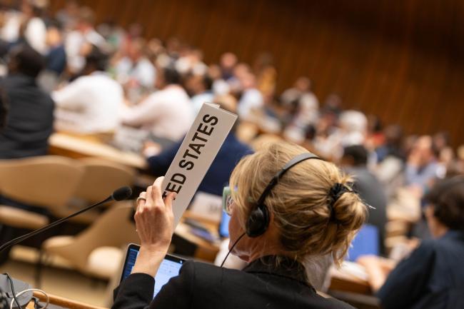 Delegates raise their placards to speak