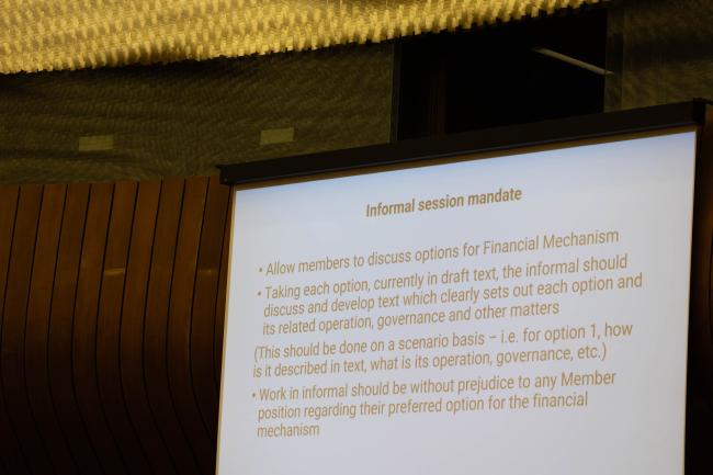 Guidance is provided for what the informal consultations should focus on