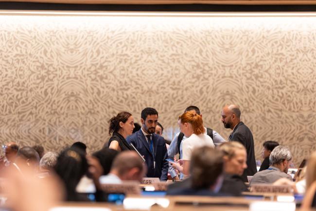 Contact Group 2 Co-Chair Tuulia Toikka, Finland, consults with delegates