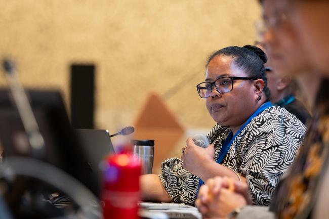 Contact Group 3 Co-Chair Gwen Sisior, Palau