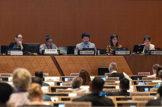 Delegates continue discussions under Contact Group 3