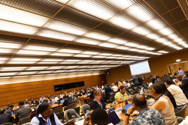 Informal consultations on Article 20