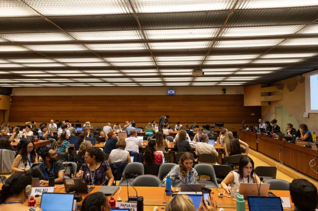 Informal consultations on Article 9