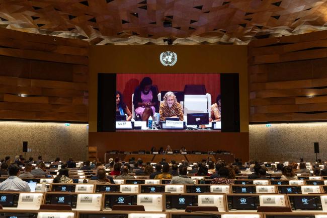 Inger Andersen, Executive Director, UN Environment Programme (UNEP), welcomes ministers to the informal ministerial roundtable on challenges at national levels to address plastic pollution