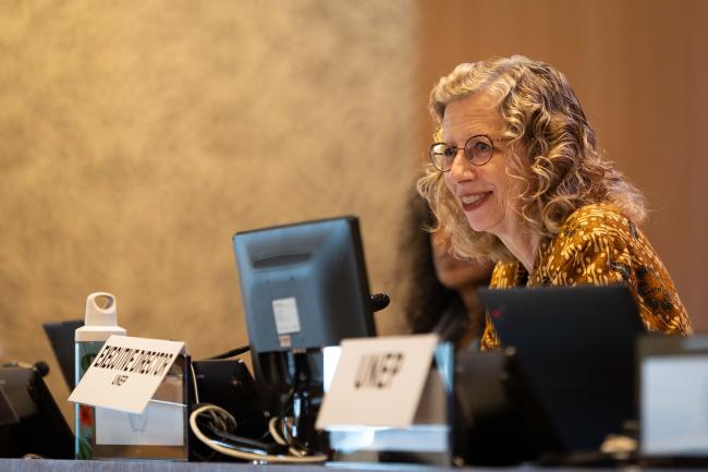 Inger Andersen, Executive Director, UNEP