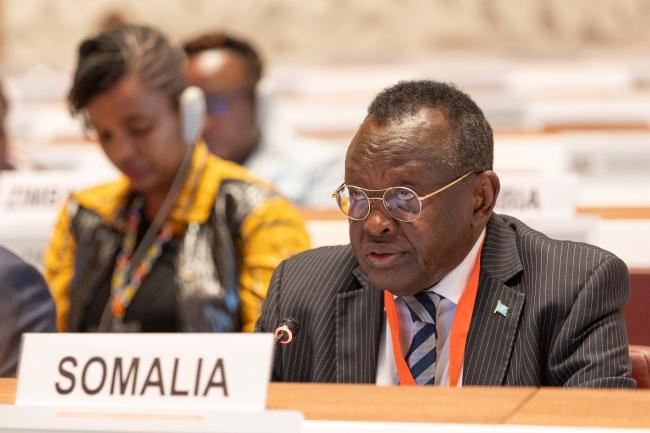 Bashiir Mohamed Jama, Minister of Environment and Climate Change, Somalia